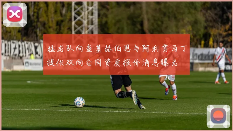 猛龙队向查基赫伯恩与阿利贾马丁提供双向合同资质报价消息曝光